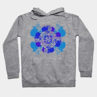 Cat Wheel Hoodie